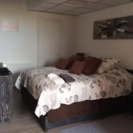 בית אירוח Studio De La Petite Metairie *